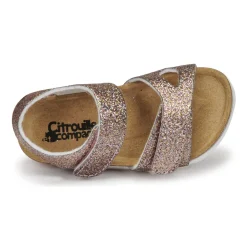 Citrouille et Compagnie - BELLI JOE