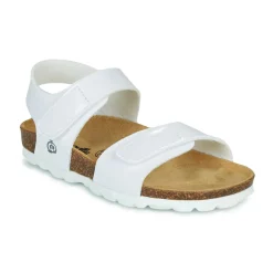 Citrouille et Compagnie - BELLI JOE