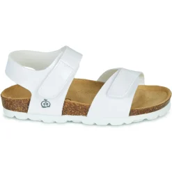 Citrouille et Compagnie - BELLI JOE