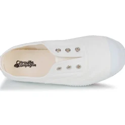 Citrouille et Compagnie - WOODEN