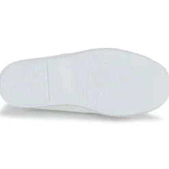 Citrouille et Compagnie - WOODEN