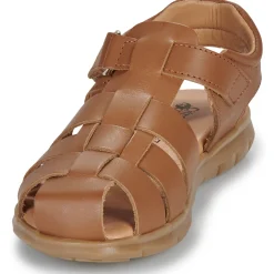 Citrouille et Compagnie - ZAPIDO