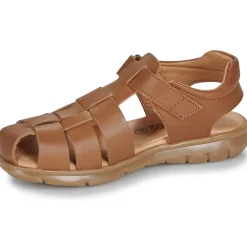 Citrouille et Compagnie - ZAPIDO