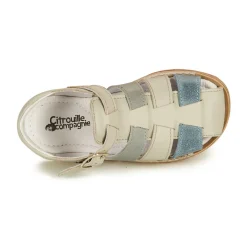 Citrouille et Compagnie - ZIDOU