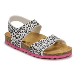 Citrouille et Compagnie - BELLI JOE