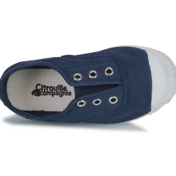 Citrouille et Compagnie - WOODEN