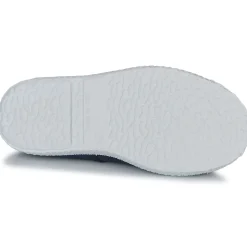 Citrouille et Compagnie - WOODEN