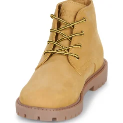 Citrouille et Compagnie - AGORA