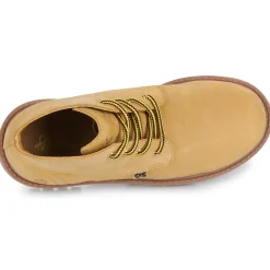 Citrouille et Compagnie - AGORA