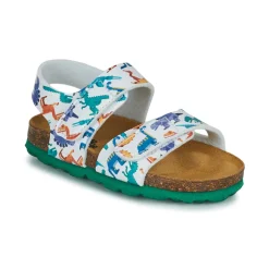 Citrouille et Compagnie - BELLI JOE