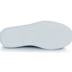 Citrouille et Compagnie - WOODEN