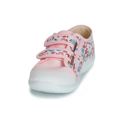 Citrouille et Compagnie - GLASSIA