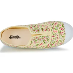 Citrouille et Compagnie - WOODEN