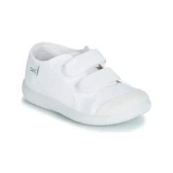 Citrouille et Compagnie - GLASSIA