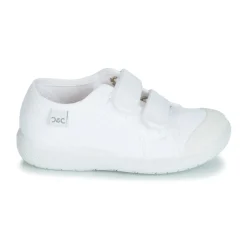 Citrouille et Compagnie - GLASSIA