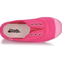 Citrouille et Compagnie - WODEN