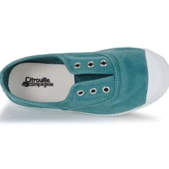 Citrouille et Compagnie - WOODEN