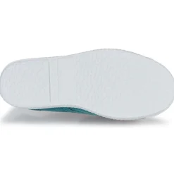 Citrouille et Compagnie - WOODEN