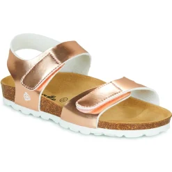 Citrouille et Compagnie - BELLI JOE