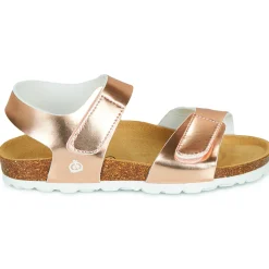 Citrouille et Compagnie - BELLI JOE