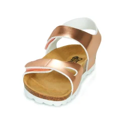 Citrouille et Compagnie - BELLI JOE