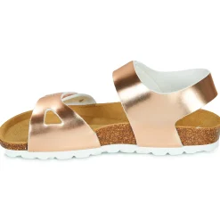 Citrouille et Compagnie - BELLI JOE