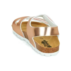 Citrouille et Compagnie - BELLI JOE