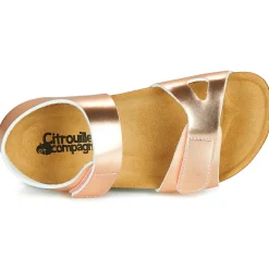 Citrouille et Compagnie - BELLI JOE