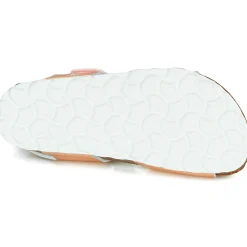 Citrouille et Compagnie - BELLI JOE