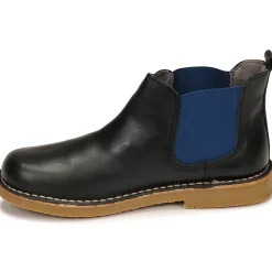 Citrouille et Compagnie - BONJOUR