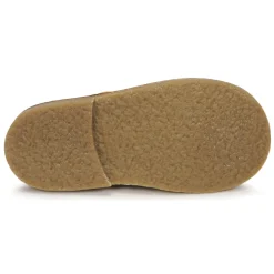 Citrouille et Compagnie - BONJOUR