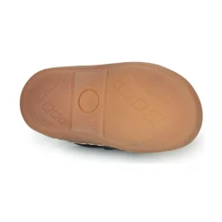 Citrouille et Compagnie - PIOTE