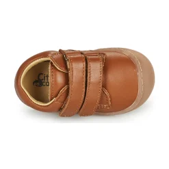 Citrouille et Compagnie - PIOTE