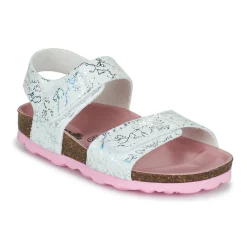 Citrouille et Compagnie - BELLI JOE