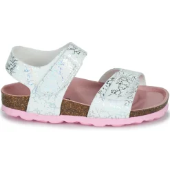 Citrouille et Compagnie - BELLI JOE