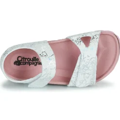 Citrouille et Compagnie - BELLI JOE