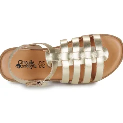 Citrouille et Compagnie - CANCUN