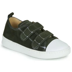 Citrouille et Compagnie - NADIR