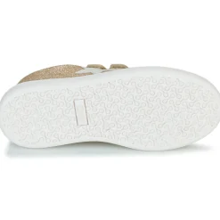 Citrouille et Compagnie - ASTINE