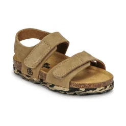 Citrouille et Compagnie - BELLI JOE