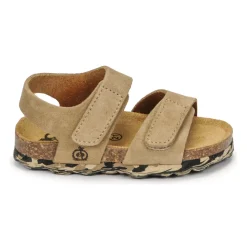 Citrouille et Compagnie - BELLI JOE