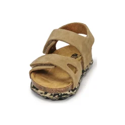 Citrouille et Compagnie - BELLI JOE