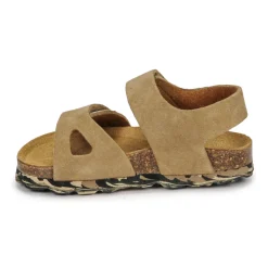 Citrouille et Compagnie - BELLI JOE