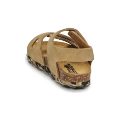 Citrouille et Compagnie - BELLI JOE