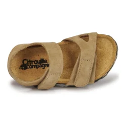 Citrouille et Compagnie - BELLI JOE