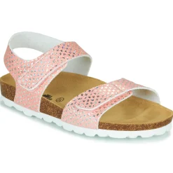 Citrouille et Compagnie - BELLI JOE