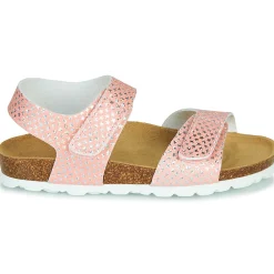 Citrouille et Compagnie - BELLI JOE