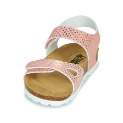 Citrouille et Compagnie - BELLI JOE