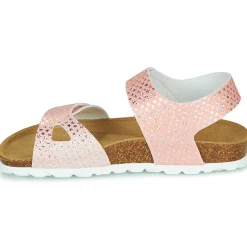 Citrouille et Compagnie - BELLI JOE