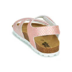 Citrouille et Compagnie - BELLI JOE